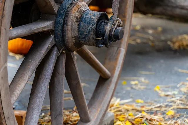 Miguel Cardia